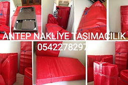 services